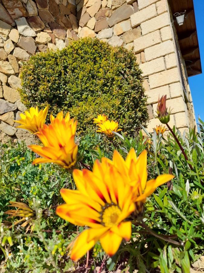 Agriturismo La Stragola Nicosia Exterior photo